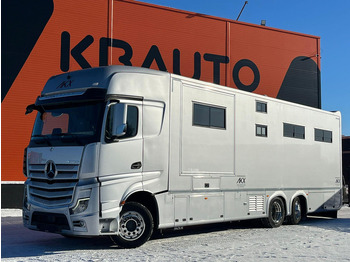 Horse truck MERCEDES-BENZ Actros 2551