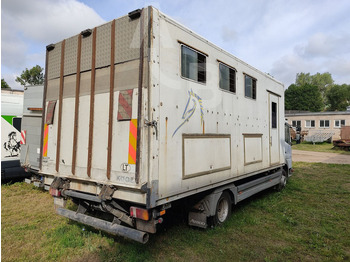 Horse truck Mercedes-Benz 815: picture 4