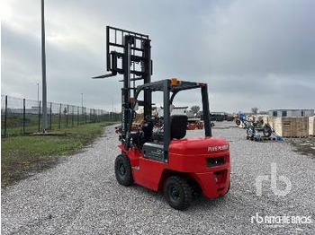 New Forklift PLUS POWER VTDD-25 (Unused): picture 3