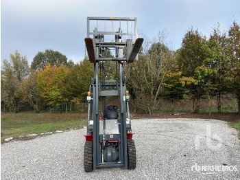 New Forklift PLUS POWER VTDD-25 (Unused): picture 5