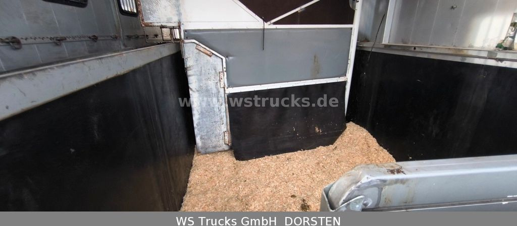 Horse truck MAN TGA 26.480 FG   6x2 Pferdetransporter Luft/Luft: picture 16