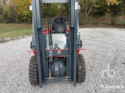 New Forklift PLUS POWER VTDD-25 (Unused): picture 26